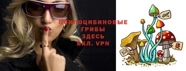 apvp Белокуриха