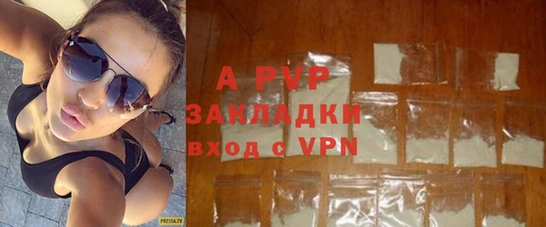 крисы Баксан