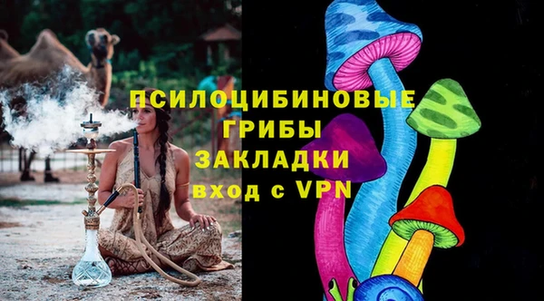 крисы Каменск-Шахтинский