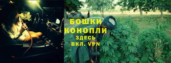 крисы Баксан
