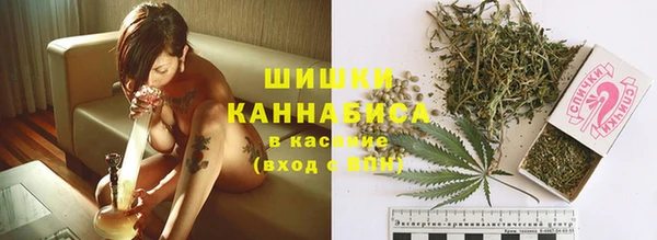крисы Баксан