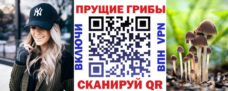 Галлюциногенные грибы Magic Shrooms  Гай 