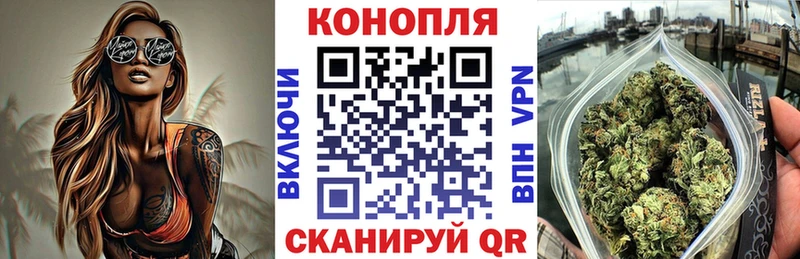 где найти наркотики  блэк спрут сайт  Бошки Шишки Bruce Banner  Гай 